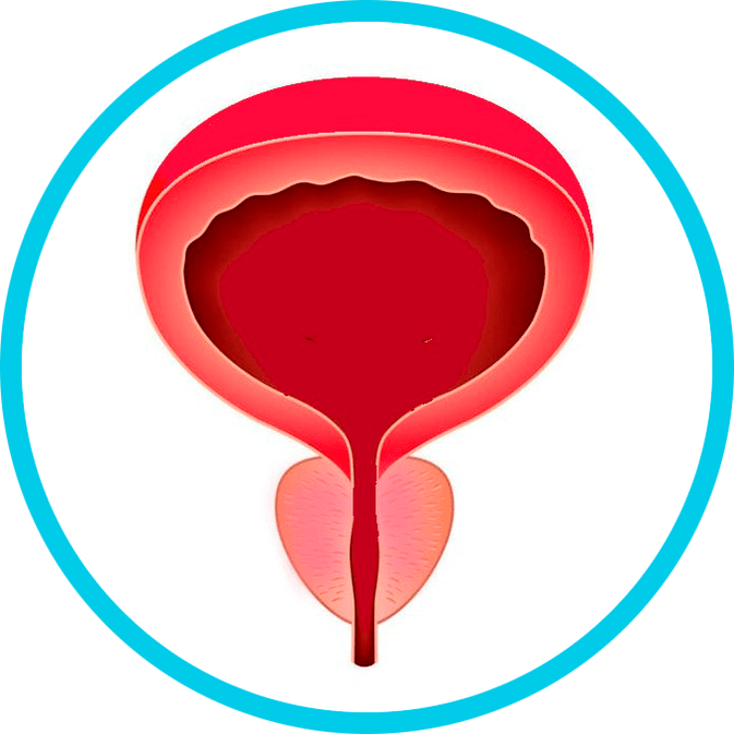 Zapobieganie zapaleniu prostaty